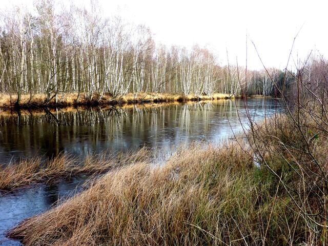 Der Moorsee
