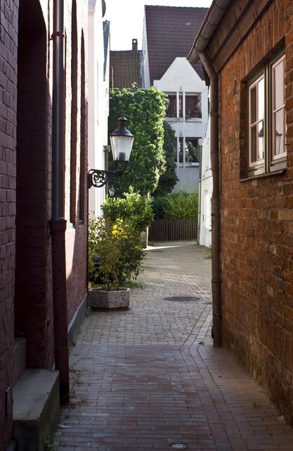 Die Großstadtpflanze (Claire Waldorf)