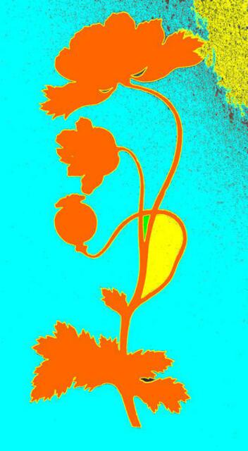 Hommage an Metamorphose-Denkerei von GOETHE & RUNGE; Mohn RUNGE - color werner hahn.