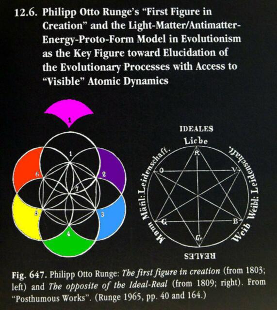 Zu RUNGEs Bedeutung für ars evolutoria - Kap. 12.6 - siehe Artikeltext mehr dazu: Englischbuch 1998, 2011 als ebook.