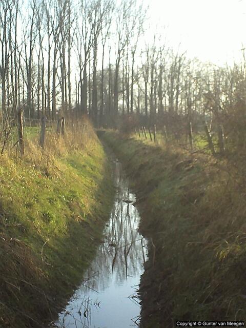 Hasselt´sche Spick, Foto: Copyright © Günter van Meegen