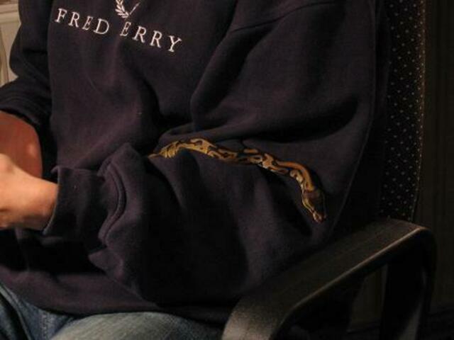 unsere kl.Snake,  eine von...