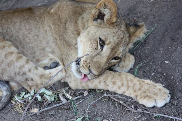 Ich leg' mich erstmal schlafen...