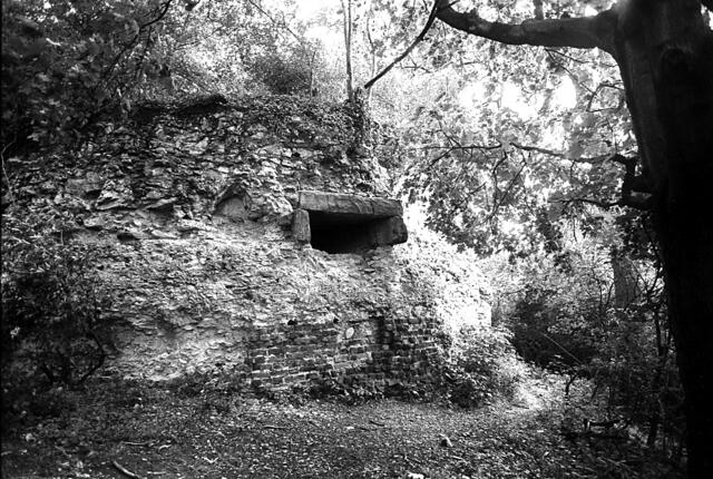 Ruine Calenberg bei Schulenburg - ein alter Pulverturm.