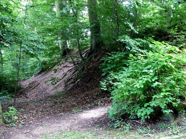 Wallburg auf dem Schulenburger Berg / Marienberg,