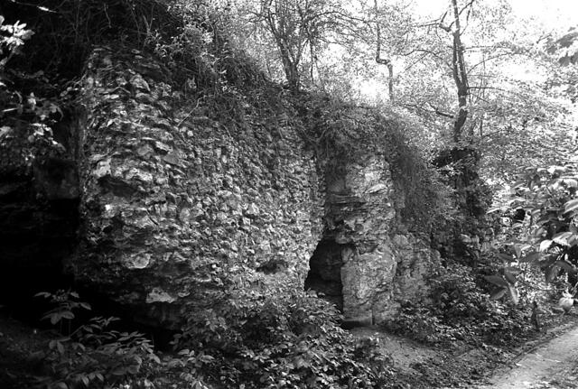 Ruine Calenberg bei Schulenburg