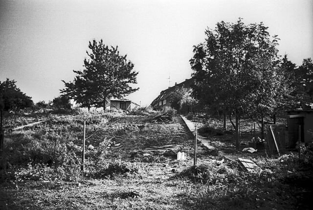 Burghügel der Koldinger Burg.