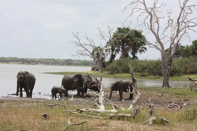 bei der Mittagspause.