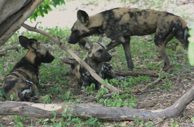 in der Nähe der Straße.