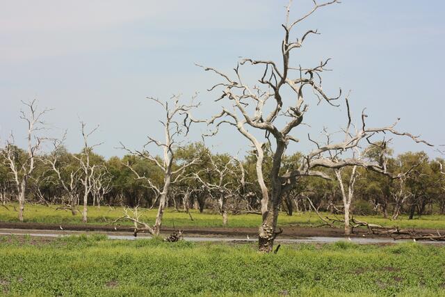 An einem der vielen Seen im Selous