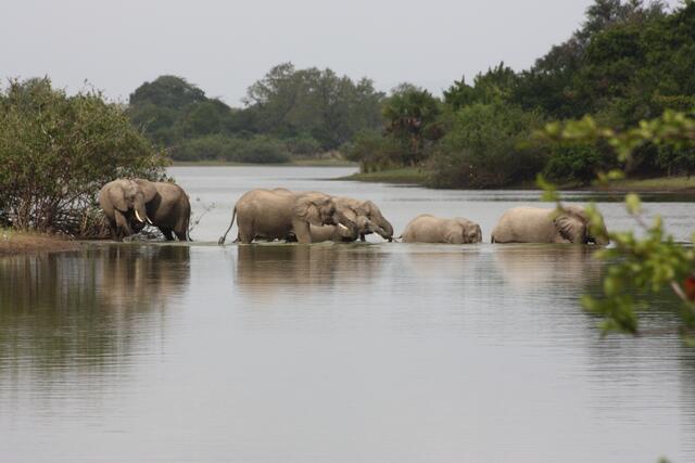 überquert einen See...