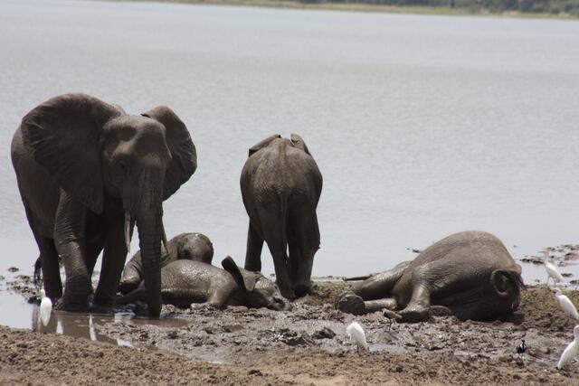 und auch die Größeren haben viel Spaß.