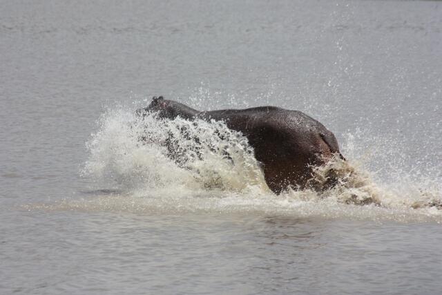 mit einer Riesenwelle...