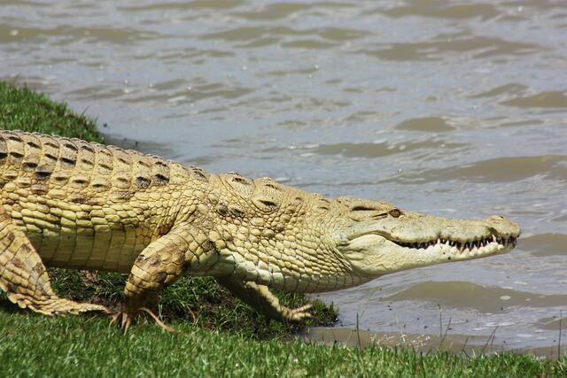 Ich geh' erstmal schwimmen!