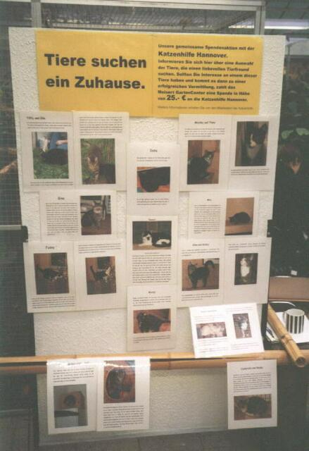 Basar Zuhause gesucht