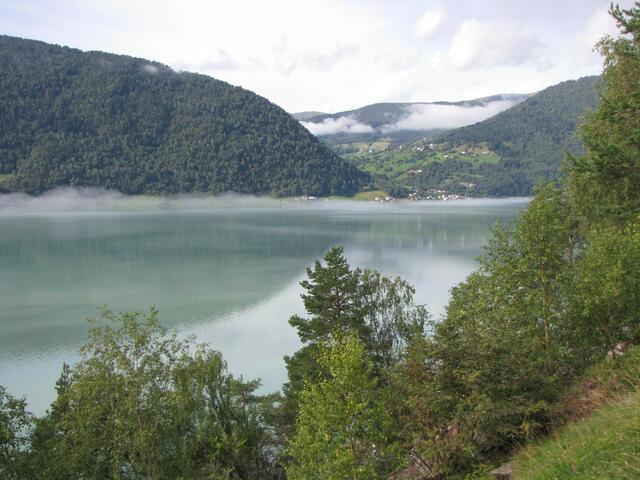 Lustrafjord