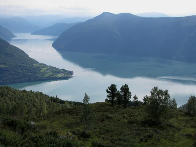 Lustrafjord Richtung Süden