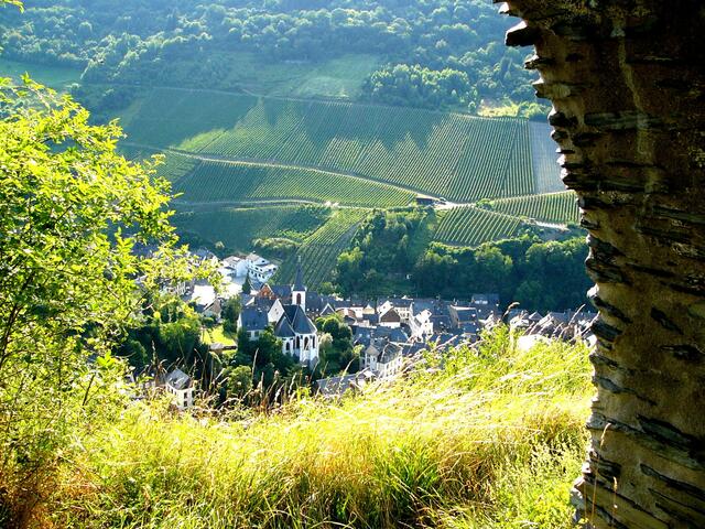 Eine wunderschöne Aussicht auf? - Vom Plateau - Burggarten der "Burgschänke Grevenburg" genießen wir die Aussicht auf die Weinberge und auf Trarbach.