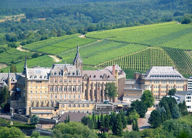 In einer reizvollen Landschaft zwischen Weinbergen stehen diese Gebäude. Es ist das ....... C............ Was befindet sich dort ebenfalls? Wer weiß wo der Fotograf stand? Es ist das Kloster Calvarienberg. Der Fotografenstandort: Das Foto wurde vom Silberberg aus aufgenommen.
