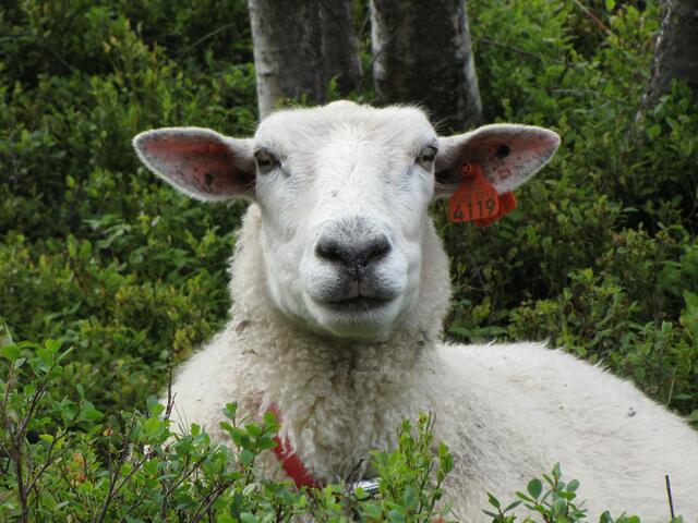 Was guckst du?