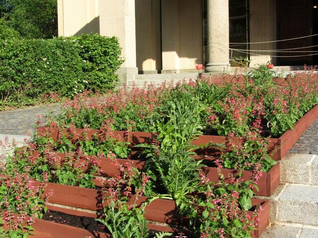 Blumen vor der Traumkirche (3.6.)