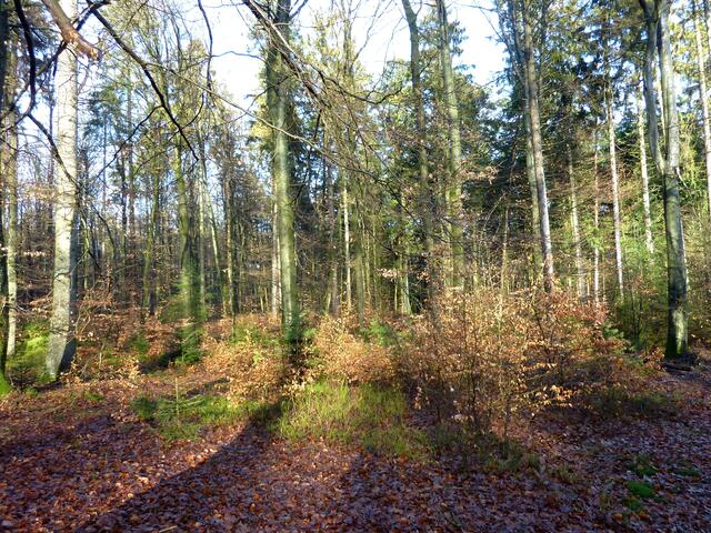Licht und Schatten