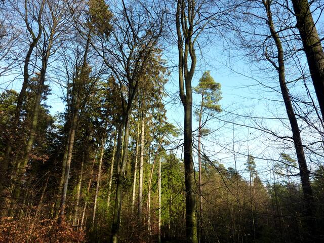 Der Himmel war nur ganz kurz so strahlend blau.