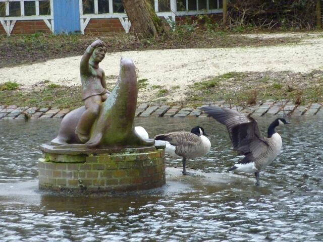 Kanadagänse am Springbrunnen