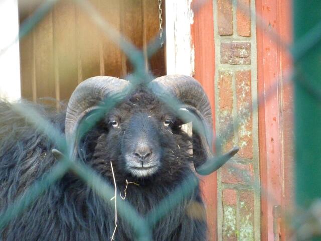 Was guckst du?