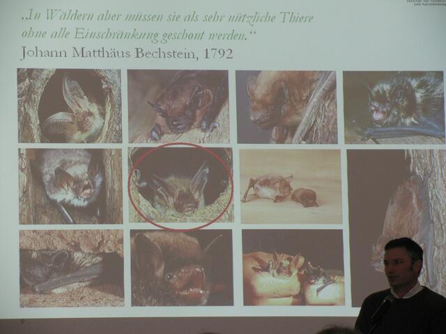 Dr. Markus Dietz stellte die Bechsteinfledermaus vor