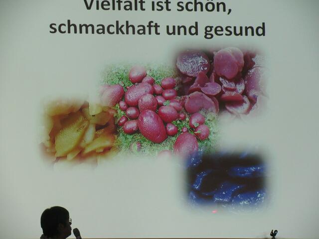 Rote und blaue Kartoffelsorten