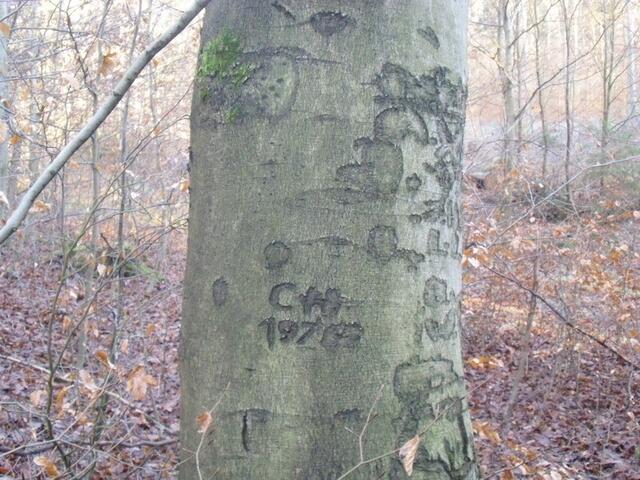 Einritzung "CH 1976" oder "78"