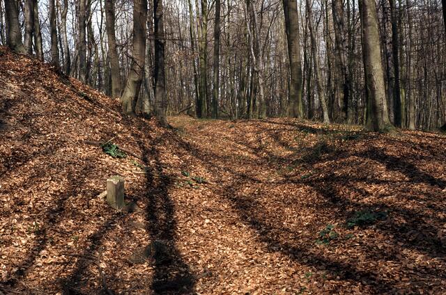Spukte hier einst eine "weiße Frau"? Burgwall und Graben auf dem Gehrdener Berg.