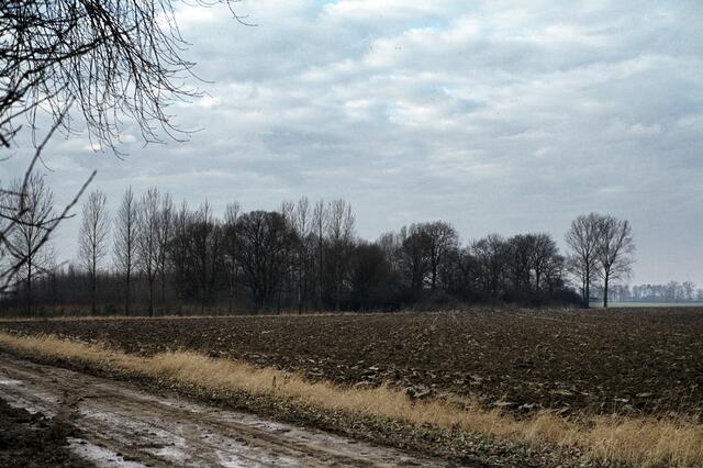 Stand hier einst eine Burg? Blick zum Lohteich bei Gehrden-Leveste.