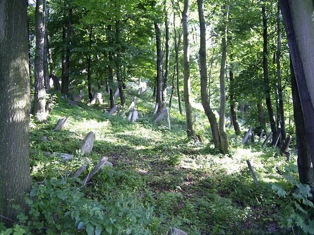 Der Judenfriedhof