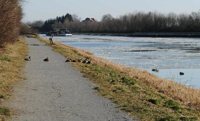 ...und danach ne Runde sonnen.