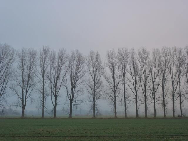 .. in Reih und Glied