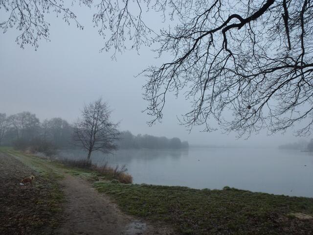 Auf dem Weg nach Hause