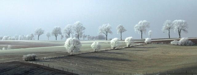 Dagma Kuncke hat hier den Winteranfang von seiner ruhigen Seite eingefangen. Einfach Raureifzauber(haft) und Platz 3! | Foto: Dagma Kuncke