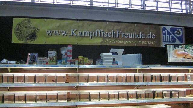 Da fiel die Entscheidung nicht leicht- alles Spitzentiere !