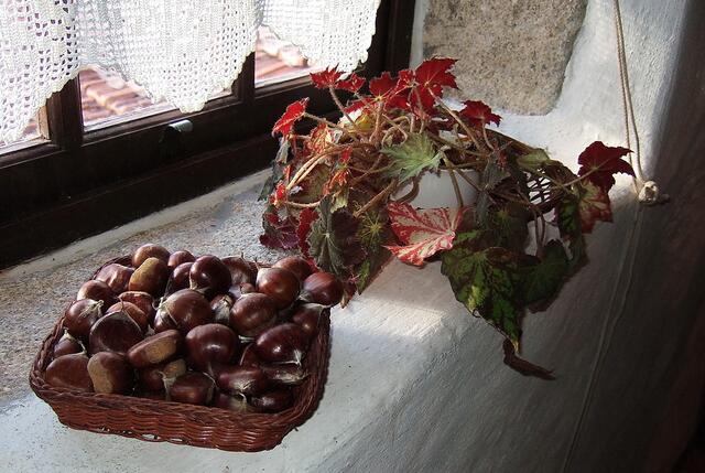 Unsere Reise geht weiter nach Portugal in den Norden nach Caminha. Dort haben wir durch dieses Fenster in den Bauerngarten geschaut, wo wir gewohnt haben.