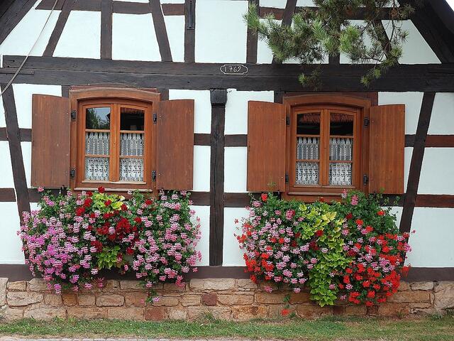 HInter diesen beiden Fenstern haben wir geschlafen: in Kutzenhausen im Elsass