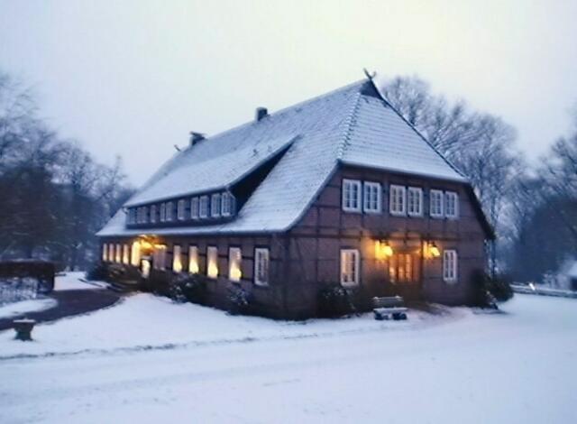 Idyllische Dämmerstunde in der Heide
