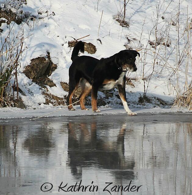 lieber nicht...............