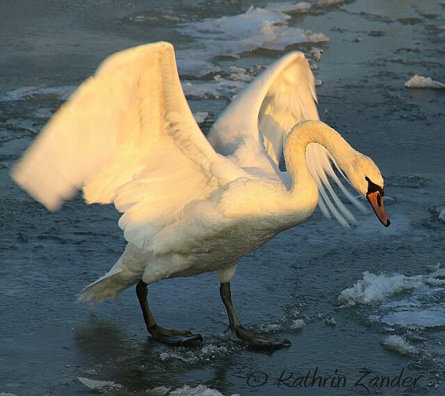ganz schön rutschig
