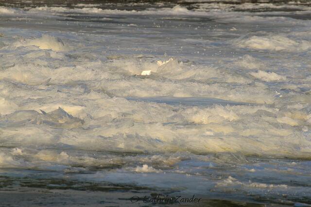 ein letzter Blick aufs Eis und dann ab nach Haus