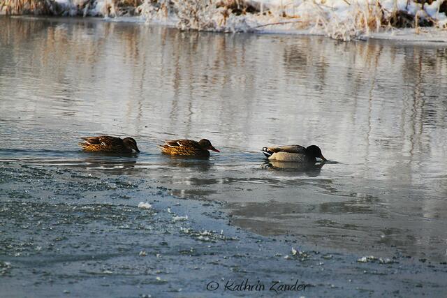 immer schön in der Fahrrinne bleiben