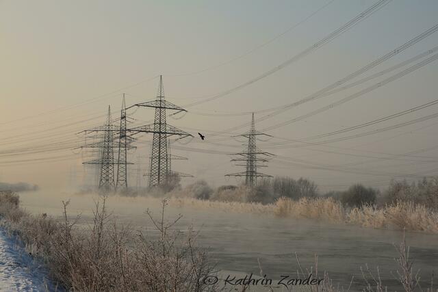 langsam bildet sich Treibeis