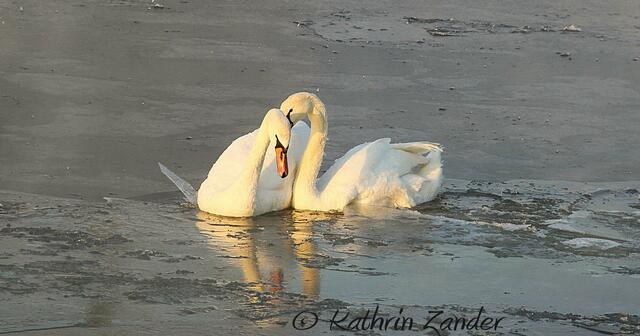 komm lass uns kuscheln