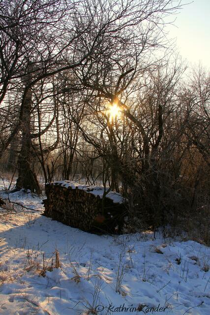 Traumhaft für Mensch und Tier